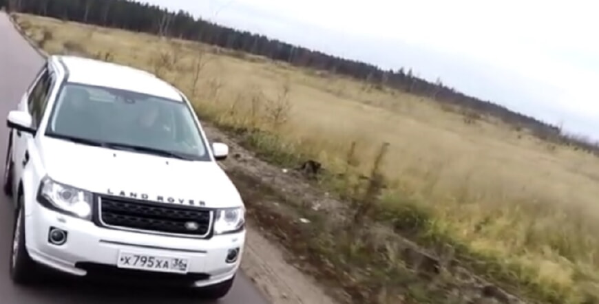 Запчасти Land Rover Freelander